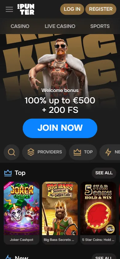Mrpunter Casino home on a mobile browser